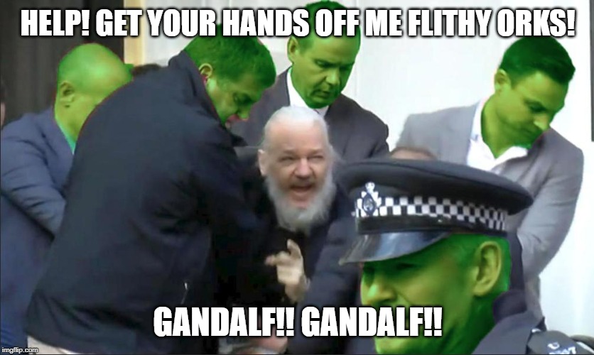 Hobbit Assange | HELP! GET YOUR HANDS OFF ME FLITHY ORKS! GANDALF!! GANDALF!! | image tagged in julian assange | made w/ Imgflip meme maker