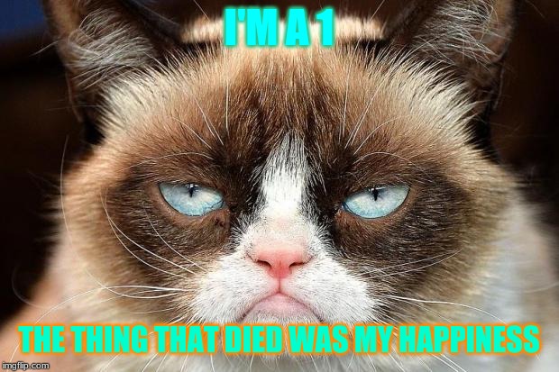 Grumpy Cat Not Amused | I'M A 1; THE THING THAT DIED WAS MY HAPPINESS | image tagged in memes,grumpy cat not amused,grumpy cat | made w/ Imgflip meme maker