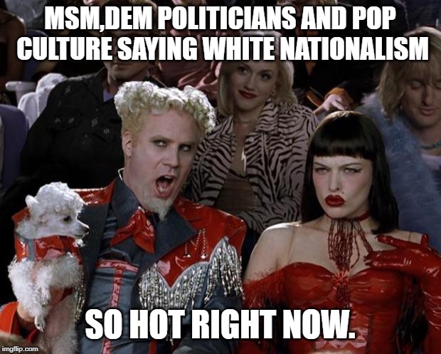 Seriously, where did this term come from? and why is it a bad thing? | MSM,DEM POLITICIANS AND POP CULTURE SAYING WHITE NATIONALISM; SO HOT RIGHT NOW. | image tagged in memes,mugatu so hot right now | made w/ Imgflip meme maker