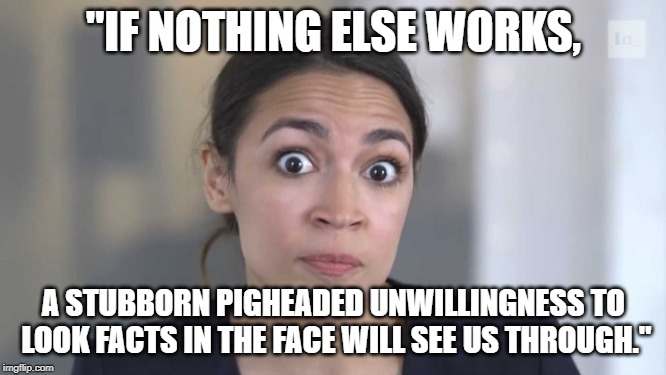 Crazy Alexandria Ocasio-Cortez | "IF NOTHING ELSE WORKS, A STUBBORN PIGHEADED UNWILLINGNESS TO LOOK FACTS IN THE FACE WILL SEE US THROUGH." | image tagged in crazy alexandria ocasio-cortez | made w/ Imgflip meme maker