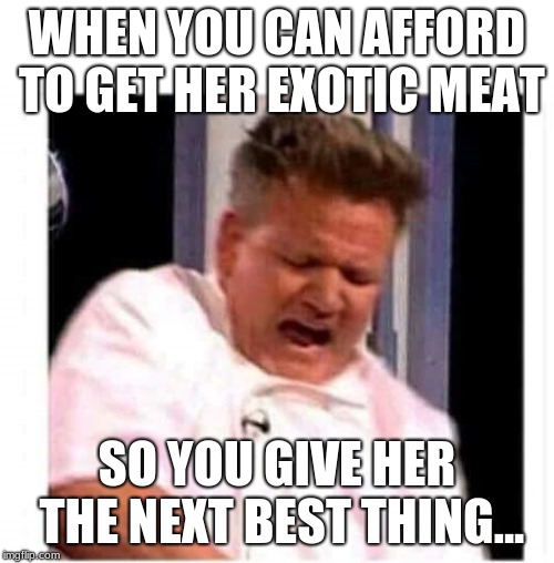 Gordon Ramsay | WHEN YOU CAN AFFORD TO GET HER EXOTIC MEAT; SO YOU GIVE HER THE NEXT BEST THING... | image tagged in gordon ramsay | made w/ Imgflip meme maker