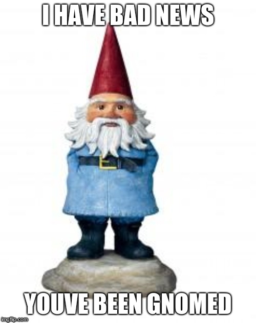 gnome | I HAVE BAD NEWS; YOUVE BEEN GNOMED | image tagged in gnome | made w/ Imgflip meme maker