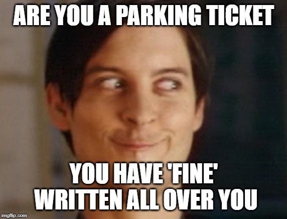 Spiderman Peter Parker Meme | ARE YOU A PARKING TICKET; YOU HAVE 'FINE' WRITTEN ALL OVER YOU | image tagged in memes,spiderman peter parker | made w/ Imgflip meme maker