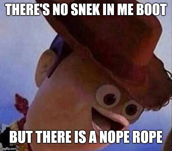 Nope rope woody | THERE'S NO SNEK IN ME BOOT; BUT THERE IS A NOPE ROPE | image tagged in derp woody,nope,rope,snake,snek | made w/ Imgflip meme maker