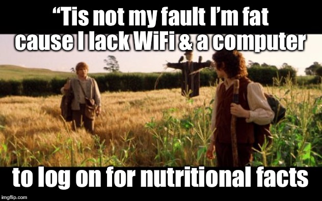 Samwise | ‘‘Tis not my fault I’m fat cause I lack WiFi & a computer to log on for nutritional facts | image tagged in samwise | made w/ Imgflip meme maker
