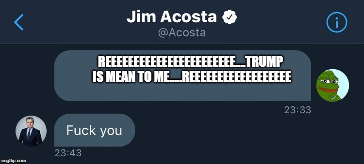 Jim Acosta Twitter DM | REEEEEEEEEEEEEEEEEEEEEEE....TRUMP IS MEAN TO ME.....REEEEEEEEEEEEEEEEEE | image tagged in jim acosta twitter dm | made w/ Imgflip meme maker