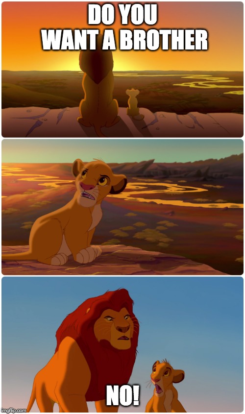 Lion King Meme | DO YOU WANT A BROTHER; NO! | image tagged in lion king meme | made w/ Imgflip meme maker