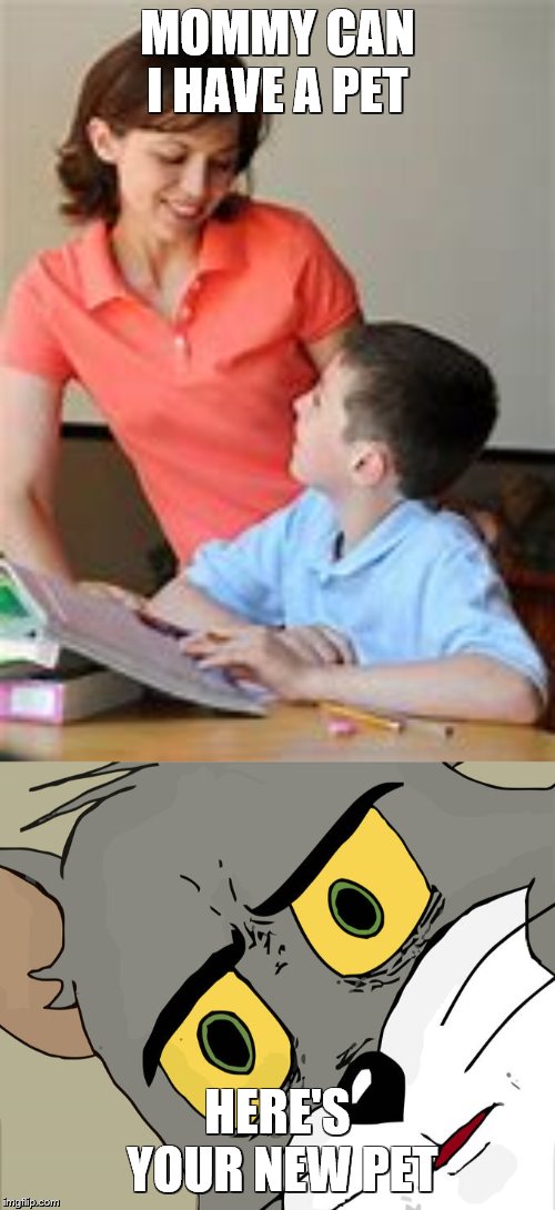 MOMMY CAN I HAVE A PET; HERE'S YOUR NEW PET | image tagged in memes,unsettled tom | made w/ Imgflip meme maker