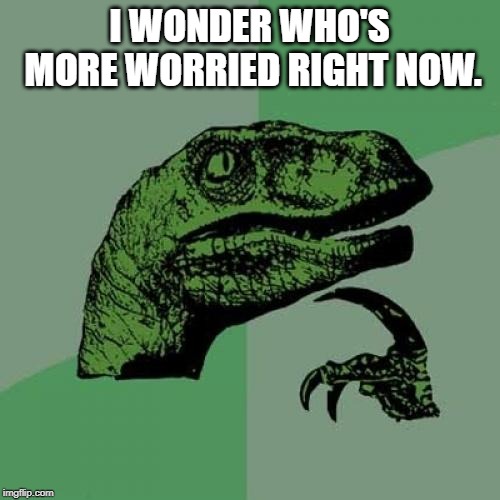 Philosoraptor Meme | I WONDER WHO'S MORE WORRIED RIGHT NOW. | image tagged in memes,philosoraptor | made w/ Imgflip meme maker