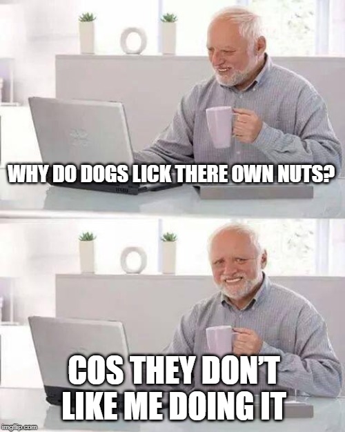 Hide the Pain Harold | WHY DO DOGS LICK THERE OWN NUTS? COS THEY DON’T LIKE ME DOING IT | image tagged in memes,hide the pain harold | made w/ Imgflip meme maker