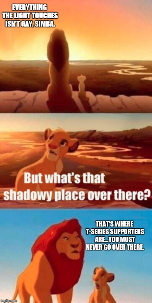 Simba Shadowy Place | EVERYTHING THE LIGHT TOUCHES ISN'T GAY, SIMBA. THAT'S WHERE T-SERIES SUPPORTERS ARE...YOU MUST NEVER GO OVER THERE. | image tagged in memes,simba shadowy place | made w/ Imgflip meme maker