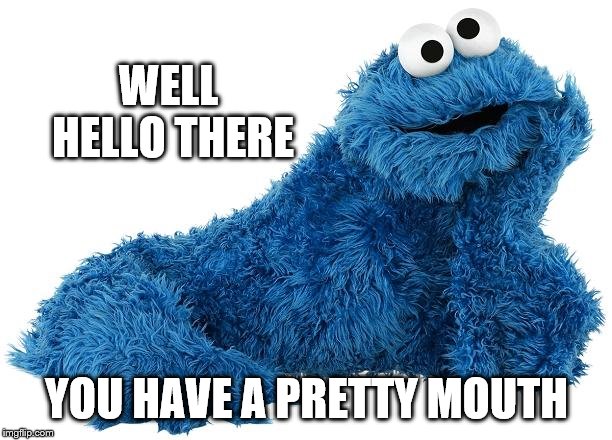 Cookie Monster | WELL HELLO THERE YOU HAVE A PRETTY MOUTH | image tagged in cookie monster | made w/ Imgflip meme maker