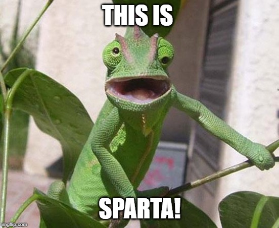 lizard | THIS IS; SPARTA! | image tagged in lizard | made w/ Imgflip meme maker