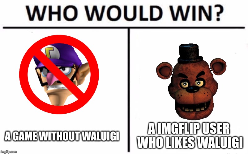 AnimatronicGamer Memes #65:Nintendo VS AnimatronicGamer | A IMGFLIP USER WHO LIKES WALUIGI; A GAME WITHOUT WALUIGI | image tagged in memes,who would win | made w/ Imgflip meme maker