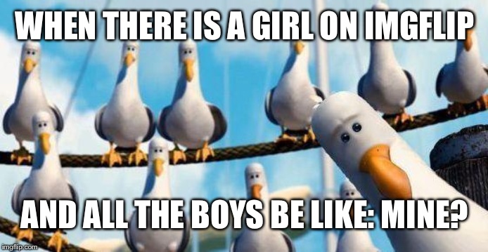 Nemo Birds | WHEN THERE IS A GIRL ON IMGFLIP; AND ALL THE BOYS BE LIKE: MINE? | image tagged in nemo birds | made w/ Imgflip meme maker