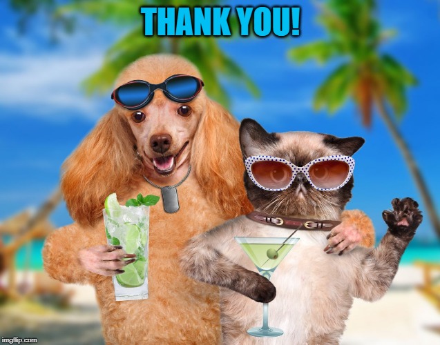 THANK YOU! | image tagged in cat and dog sipping cocktails | made w/ Imgflip meme maker