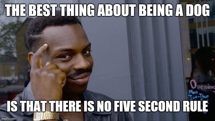 Dog benefits | THE BEST THING ABOUT BEING A DOG; IS THAT THERE IS NO FIVE SECOND RULE | image tagged in memes,roll safe think about it | made w/ Imgflip meme maker
