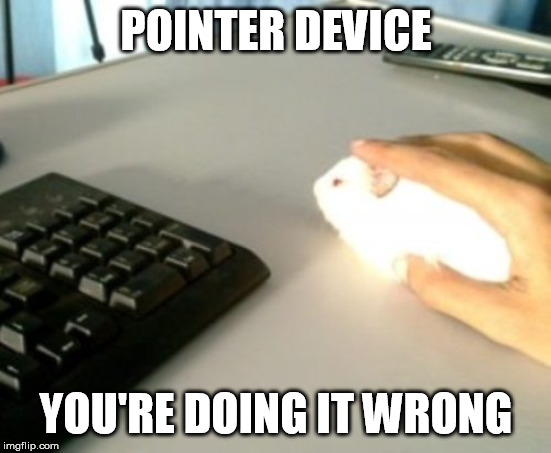 POINTER DEVICE YOU'RE DOING IT WRONG | made w/ Imgflip meme maker