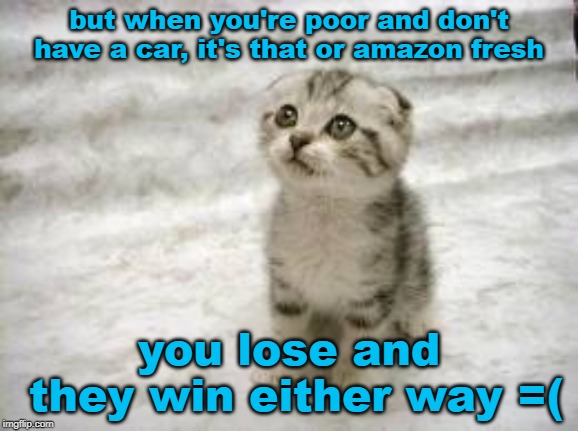 Sad Cat Meme | but when you're poor and don't have a car, it's that or amazon fresh you lose and they win either way =( | image tagged in memes,sad cat | made w/ Imgflip meme maker