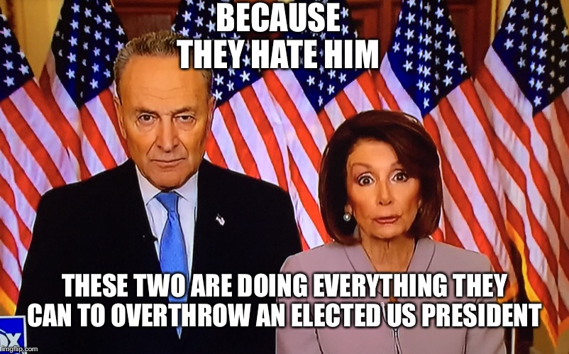 Washington Hillbillies | BECAUSE THEY HATE HIM; THESE TWO ARE DOING EVERYTHING THEY CAN TO OVERTHROW AN ELECTED US PRESIDENT | image tagged in washington hillbillies | made w/ Imgflip meme maker