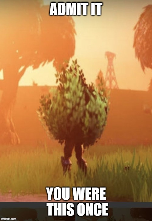 Fortnite bush | ADMIT IT; YOU WERE THIS ONCE | image tagged in fortnite bush | made w/ Imgflip meme maker