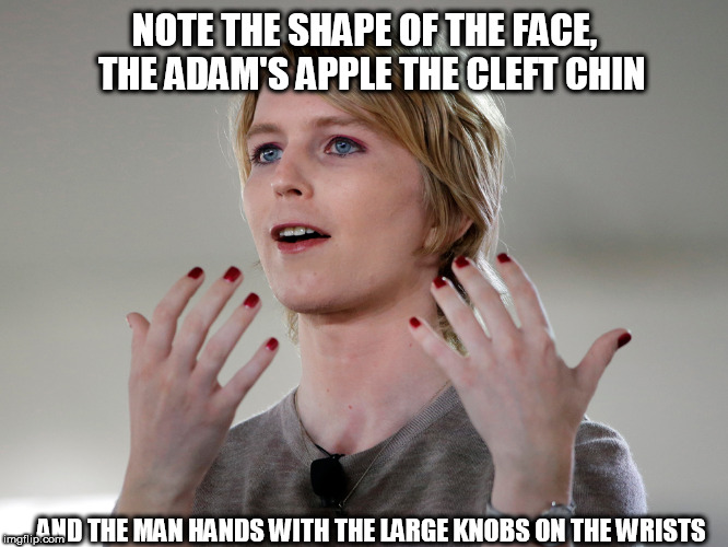 NOTE THE SHAPE OF THE FACE,  THE ADAM'S APPLE THE CLEFT CHIN; AND THE MAN HANDS WITH THE LARGE KNOBS ON THE WRISTS | image tagged in know your man | made w/ Imgflip meme maker