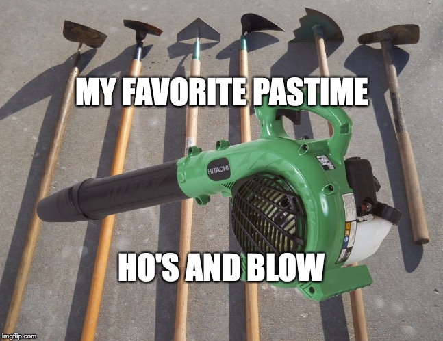 Gardening of course. What were you thinking? | MY FAVORITE PASTIME; HO'S AND BLOW | image tagged in hoes and blow | made w/ Imgflip meme maker