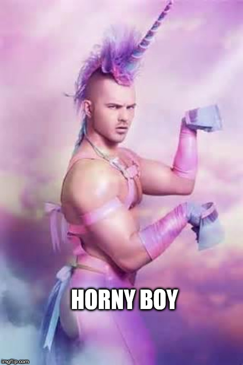 Gay Unicorn | HORNY BOY | image tagged in gay unicorn | made w/ Imgflip meme maker