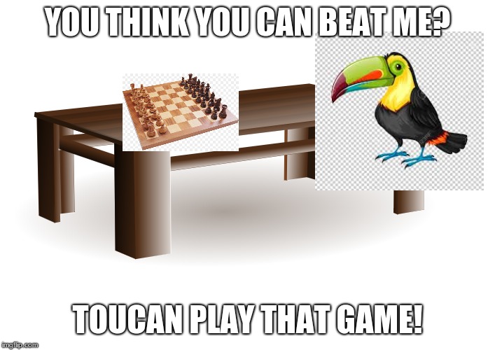 YOU THINK YOU CAN BEAT ME? TOUCAN PLAY THAT GAME! | image tagged in funny memes | made w/ Imgflip meme maker