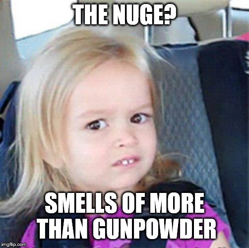 Confused Little Girl | THE NUGE? SMELLS OF MORE THAN GUNPOWDER | image tagged in confused little girl | made w/ Imgflip meme maker