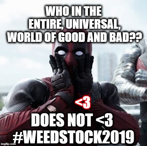 Deadpool Surprised | WHO IN THE ENTIRE, UNIVERSAL, WORLD OF GOOD AND BAD?? <3; DOES NOT <3 #WEEDSTOCK2019 | image tagged in memes,deadpool surprised | made w/ Imgflip meme maker