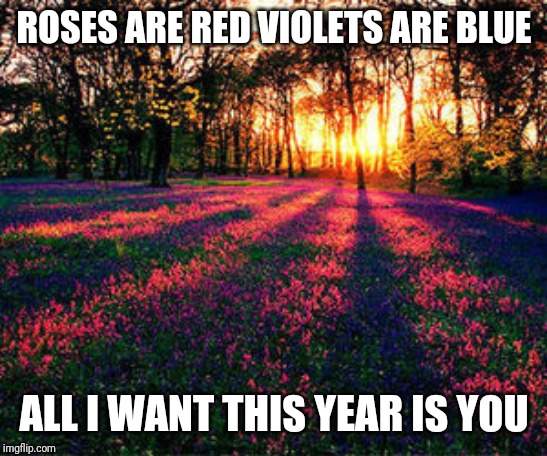 To all the hot girls. I'm 11 | ROSES ARE RED VIOLETS ARE BLUE; ALL I WANT THIS YEAR IS YOU | image tagged in roses are red | made w/ Imgflip meme maker