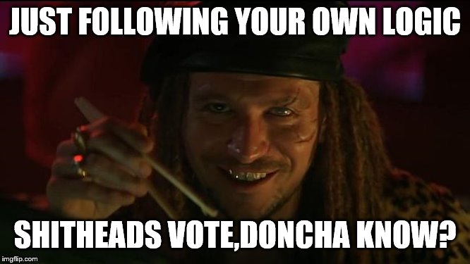 JUST FOLLOWING YOUR OWN LOGIC SHITHEADS VOTE,DONCHA KNOW? | made w/ Imgflip meme maker
