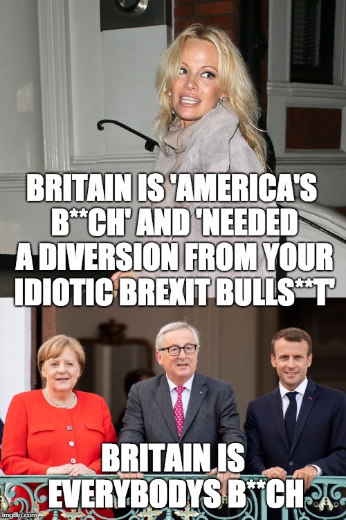 Pam's not happy with the UK | BRITAIN IS 'AMERICA'S B**CH' AND 'NEEDED A DIVERSION FROM YOUR IDIOTIC BREXIT BULLS**T'; BRITAIN IS EVERYBODYS B**CH | image tagged in pamela anderson,julian assange,brexit | made w/ Imgflip meme maker
