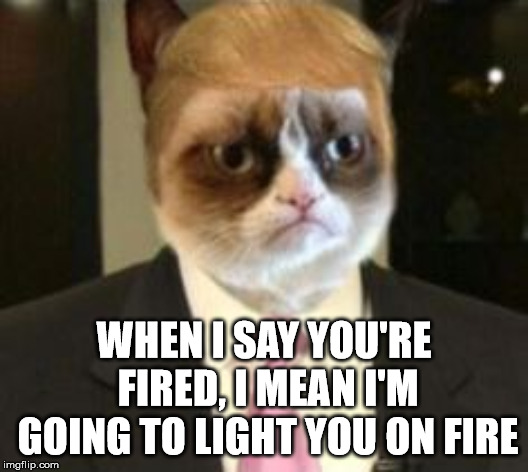 Trumpy Cat says you're FIRED | WHEN I SAY YOU'RE FIRED, I MEAN I'M GOING TO LIGHT YOU ON FIRE | image tagged in trumpy cat,donald trump you're fired,fired | made w/ Imgflip meme maker