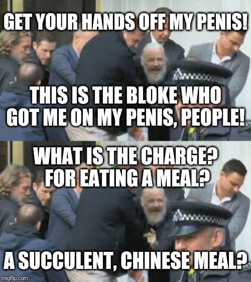 GET YOUR HANDS OFF MY PENIS! THIS IS THE BLOKE WHO GOT ME ON MY PENIS, PEOPLE! WHAT IS THE CHARGE? FOR EATING A MEAL? A SUCCULENT, CHINESE MEAL? | image tagged in memes,julian assange,democracy manifest video | made w/ Imgflip meme maker