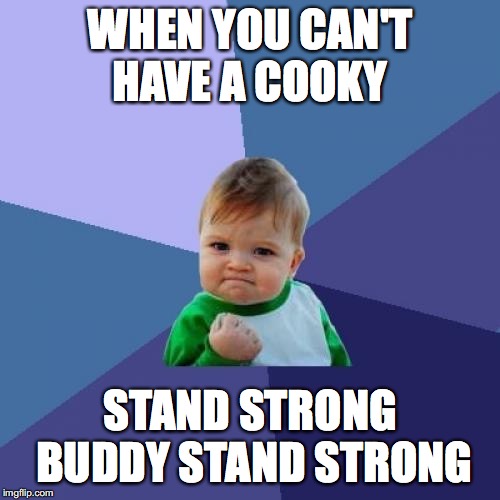 Success Kid Meme | WHEN YOU CAN'T HAVE A COOKY; STAND STRONG BUDDY STAND STRONG | image tagged in memes,success kid | made w/ Imgflip meme maker
