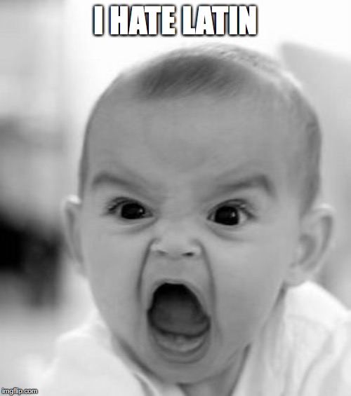 Angry Baby Meme | I HATE LATIN | image tagged in memes,angry baby | made w/ Imgflip meme maker