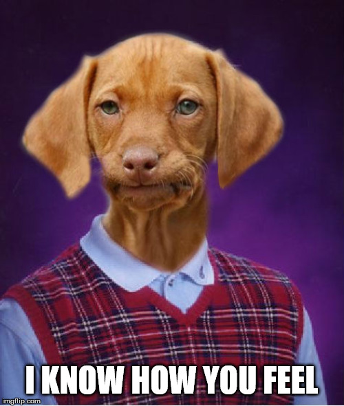 Bad Luck Raydog | I KNOW HOW YOU FEEL | image tagged in bad luck raydog | made w/ Imgflip meme maker