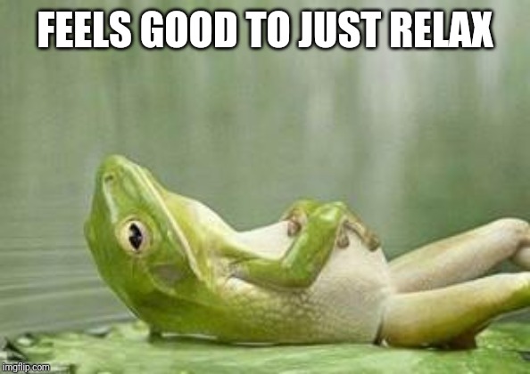 relax frog | FEELS GOOD TO JUST RELAX | image tagged in relax frog | made w/ Imgflip meme maker