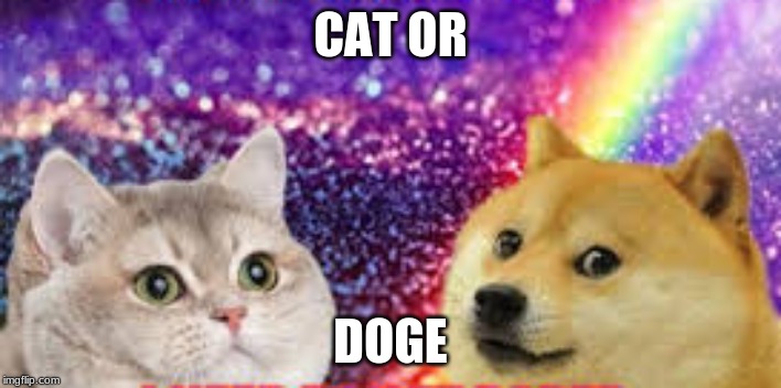 my like doggys | CAT OR; DOGE | image tagged in fat cat,fat dog | made w/ Imgflip meme maker