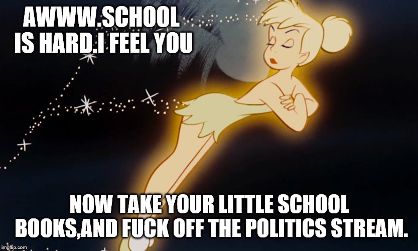 Tinkerbell | AWWW.SCHOOL IS HARD.I FEEL YOU NOW TAKE YOUR LITTLE SCHOOL BOOKS,AND F**K OFF THE POLITICS STREAM. | image tagged in tinkerbell | made w/ Imgflip meme maker