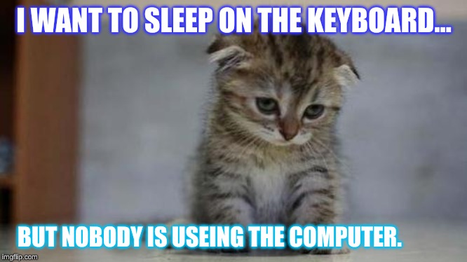 Sad kitten | I WANT TO SLEEP ON THE KEYBOARD... BUT NOBODY IS USEING THE COMPUTER. | image tagged in sad kitten | made w/ Imgflip meme maker