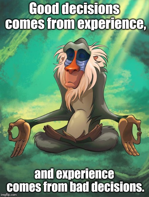 Rafiki wisdom | Good decisions comes from experience, and experience comes from bad decisions. | image tagged in rafiki wisdom | made w/ Imgflip meme maker