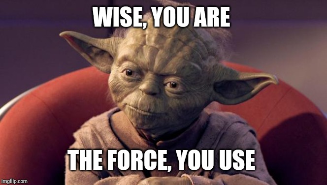 Yoda Wisdom | WISE, YOU ARE THE FORCE, YOU USE | image tagged in yoda wisdom | made w/ Imgflip meme maker
