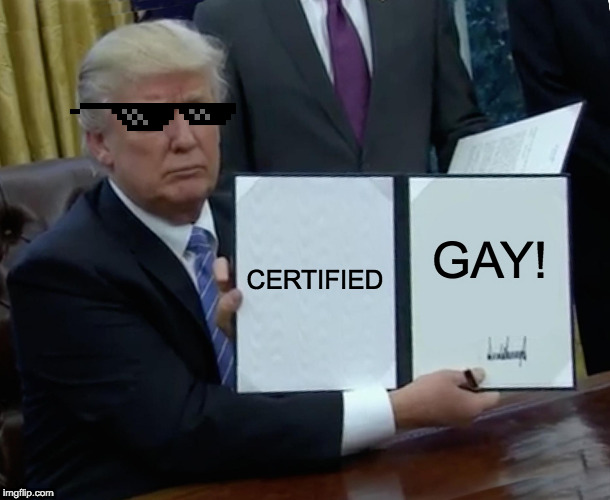 Trump Bill Signing Meme | CERTIFIED; GAY! | image tagged in memes,trump bill signing | made w/ Imgflip meme maker