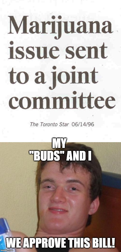 Yes on Prop 420 | MY "BUDS" AND I; WE APPROVE THIS BILL! | image tagged in memes,10 guy | made w/ Imgflip meme maker