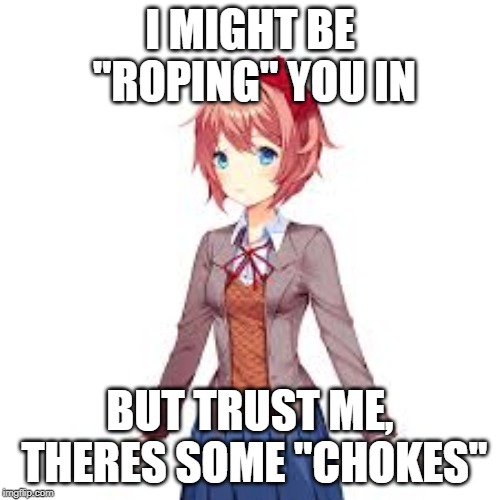 Doki Doki Comedy Club | I MIGHT BE "ROPING" YOU IN; BUT TRUST ME, THERES SOME "CHOKES" | image tagged in sayori | made w/ Imgflip meme maker