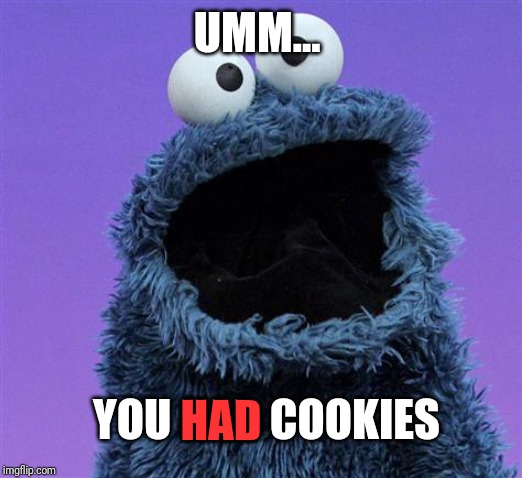 cookie monster | UMM... YOU HAD COOKIES HAD | image tagged in cookie monster | made w/ Imgflip meme maker