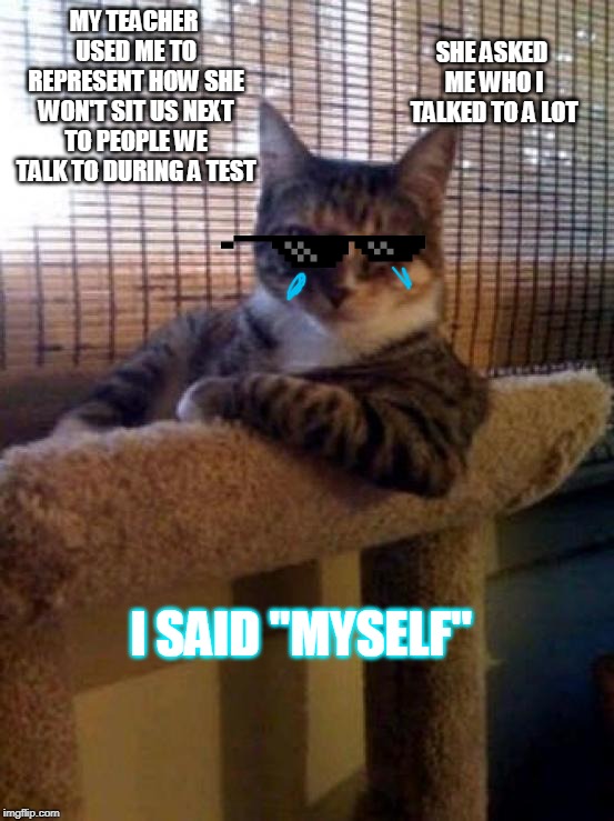 The Most Interesting Cat In The World |  SHE ASKED ME WHO I TALKED TO A LOT; MY TEACHER USED ME TO REPRESENT HOW SHE WON'T SIT US NEXT TO PEOPLE WE TALK TO DURING A TEST; I SAID "MYSELF" | image tagged in memes,the most interesting cat in the world | made w/ Imgflip meme maker